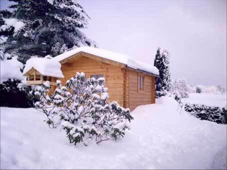 Apartment Jüngst Winterberg Exterior foto